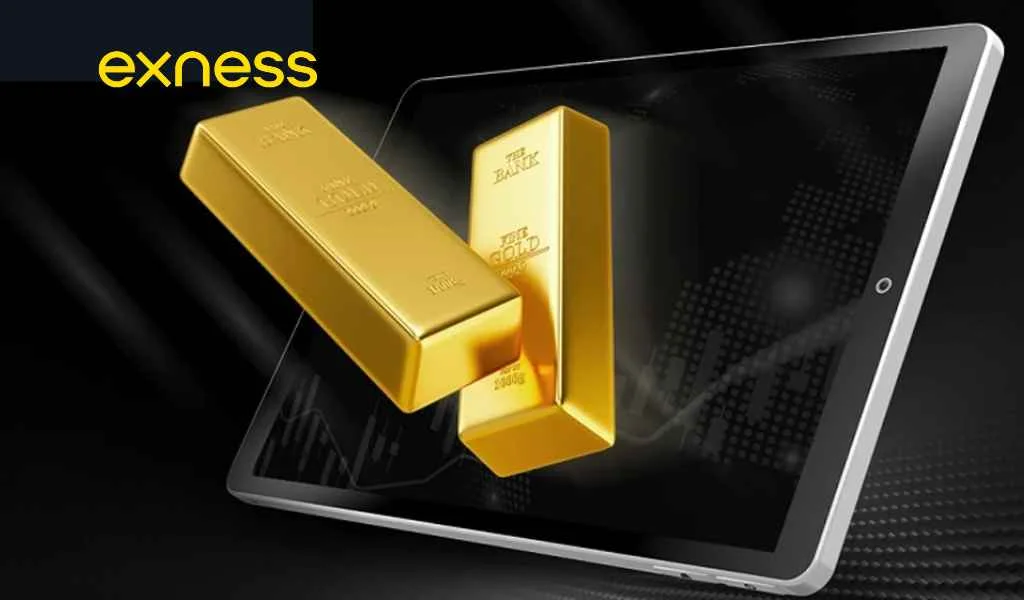 Gold Trading Account Types on ExnessExnessの金取引口座の種類