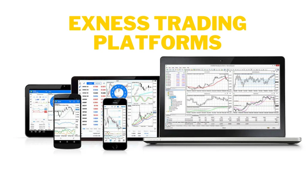 Support MT4 and MT5 tradingMT4とMT5の取引をサポート