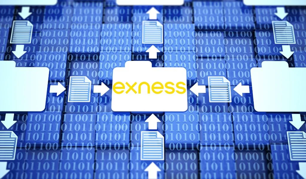 The Exness personal area is divided into two main sectionsExnessの個人エリアは2つの主要なセクションに分かれています