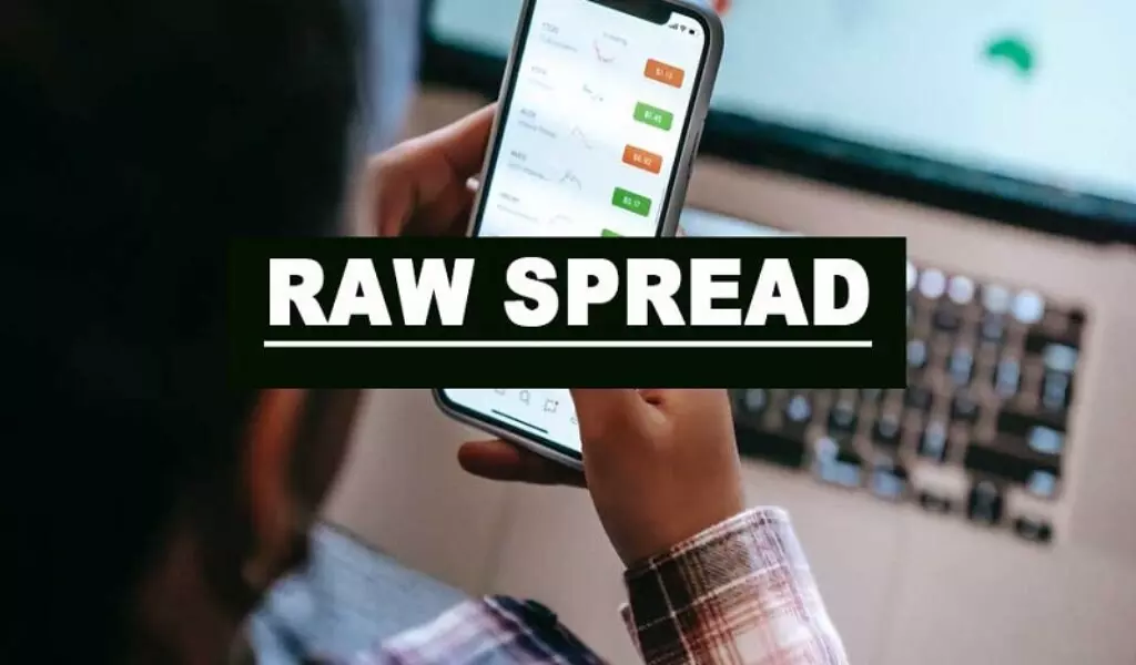 Exness's Raw Spread Account is a Popular ChoiceExnessのRaw Spreadアカウントは人気の選択肢です